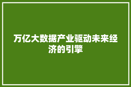 万亿大数据产业驱动未来经济的引擎