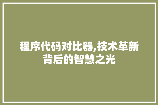程序代码对比器,技术革新背后的智慧之光