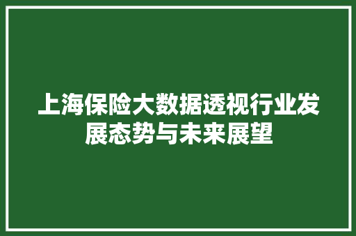 上海保险大数据透视行业发展态势与未来展望