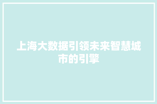 上海大数据引领未来智慧城市的引擎