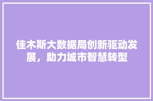 佳木斯大数据局创新驱动发展，助力城市智慧转型