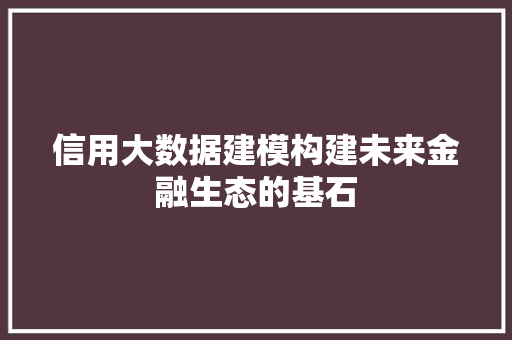 信用大数据建模构建未来金融生态的基石