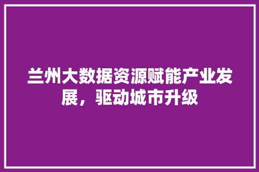 兰州大数据资源赋能产业发展，驱动城市升级