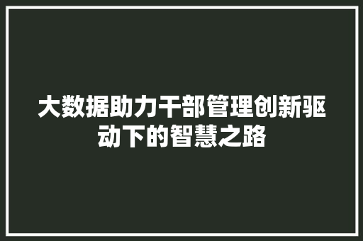 大数据助力干部管理创新驱动下的智慧之路