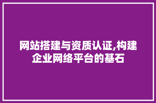 网站搭建与资质认证,构建企业网络平台的基石 缓存Redis