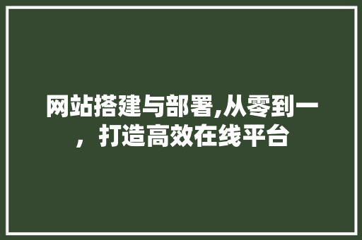 网站搭建与部署,从零到一，打造高效在线平台 响应式设计