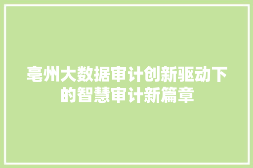 亳州大数据审计创新驱动下的智慧审计新篇章