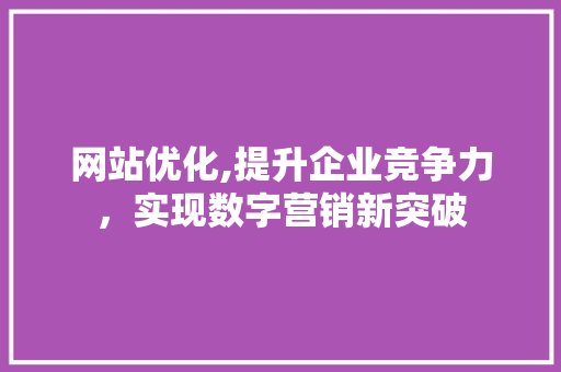 网站优化,提升企业竞争力，实现数字营销新突破 缓存Redis