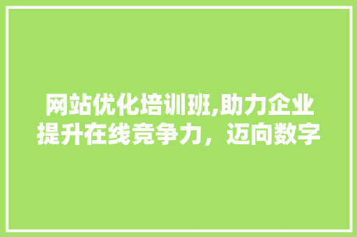 网站优化培训班,助力企业提升在线竞争力，迈向数字化未来