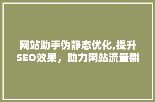 网站助手伪静态优化,提升SEO效果，助力网站流量翻倍