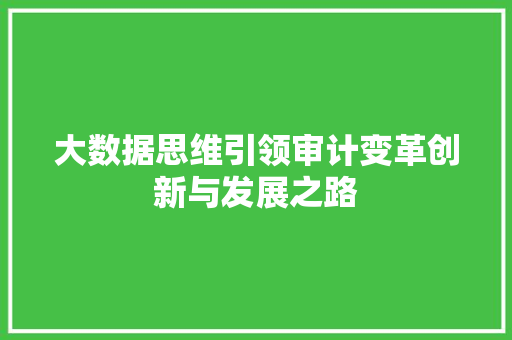 大数据思维引领审计变革创新与发展之路