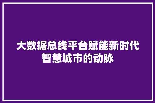 大数据总线平台赋能新时代智慧城市的动脉
