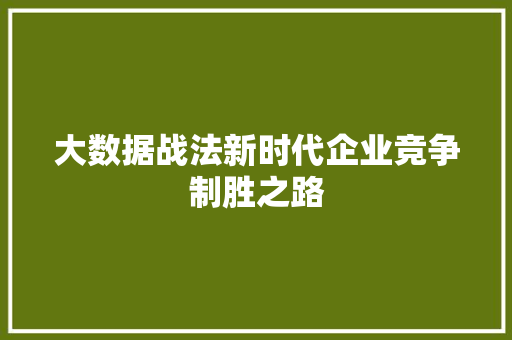 大数据战法新时代企业竞争制胜之路