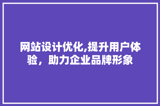 网站设计优化,提升用户体验，助力企业品牌形象 项目报告