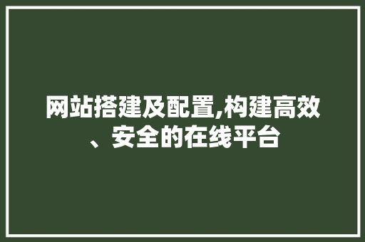 网站搭建及配置,构建高效、安全的在线平台