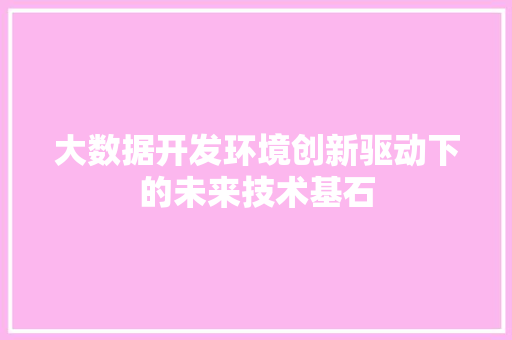 大数据开发环境创新驱动下的未来技术基石