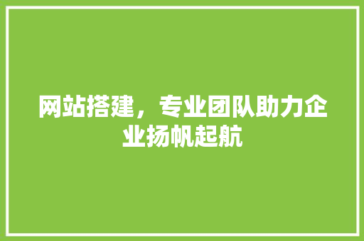 网站搭建，专业团队助力企业扬帆起航 网站建设
