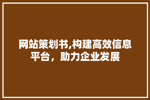 网站策划书,构建高效信息平台，助力企业发展 网站建设