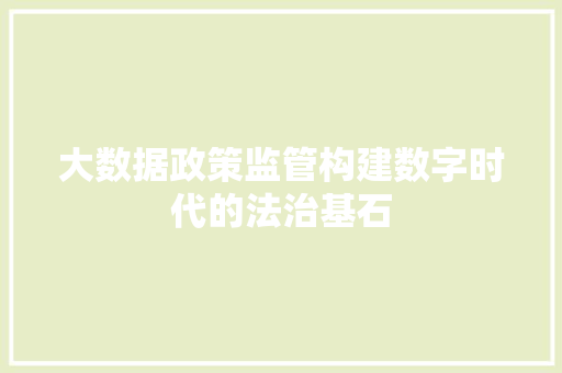 大数据政策监管构建数字时代的法治基石