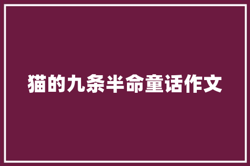 网络网站,信息时代的桥梁 网站建设