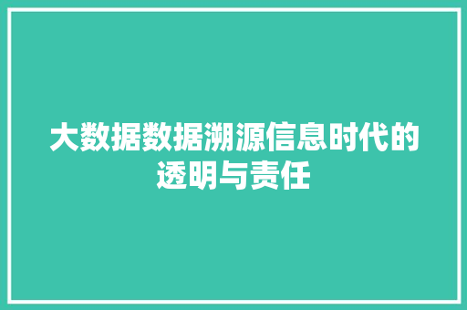 大数据数据溯源信息时代的透明与责任