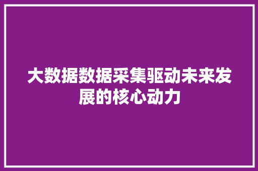 大数据数据采集驱动未来发展的核心动力