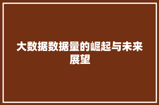 大数据数据量的崛起与未来展望