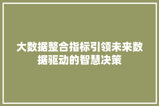 大数据整合指标引领未来数据驱动的智慧决策