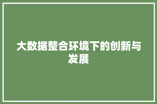 大数据整合环境下的创新与发展