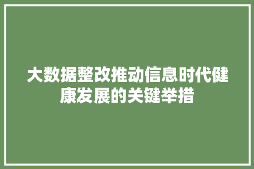 大数据整改推动信息时代健康发展的关键举措