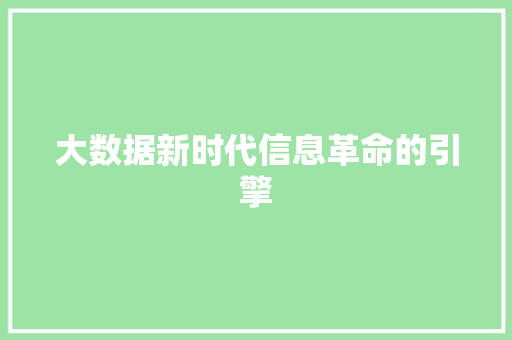 大数据新时代信息革命的引擎