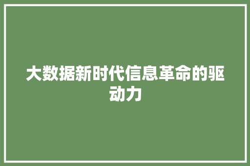 大数据新时代信息革命的驱动力