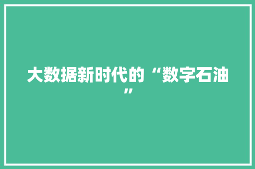 大数据新时代的“数字石油”
