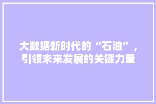大数据新时代的“石油”，引领未来发展的关键力量