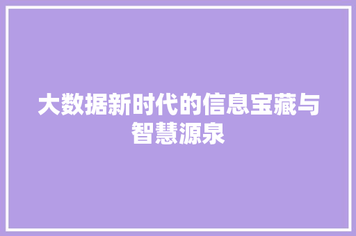 大数据新时代的信息宝藏与智慧源泉