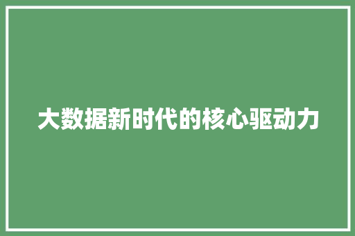 大数据新时代的核心驱动力