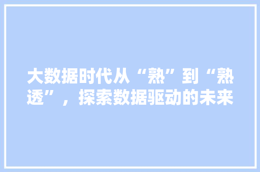 大数据时代从“熟”到“熟透”，探索数据驱动的未来
