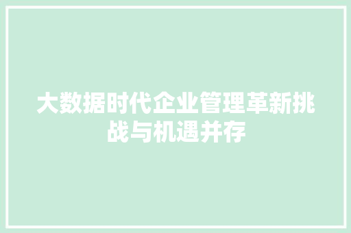 大数据时代企业管理革新挑战与机遇并存