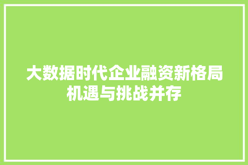 大数据时代企业融资新格局机遇与挑战并存