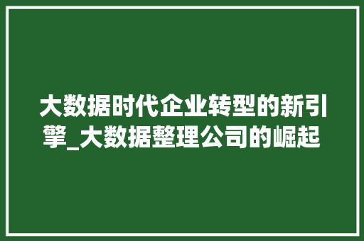 大数据时代企业转型的新引擎_大数据整理公司的崛起与发展