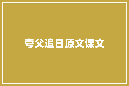 网站软件,构建数字世界的基石 项目报告