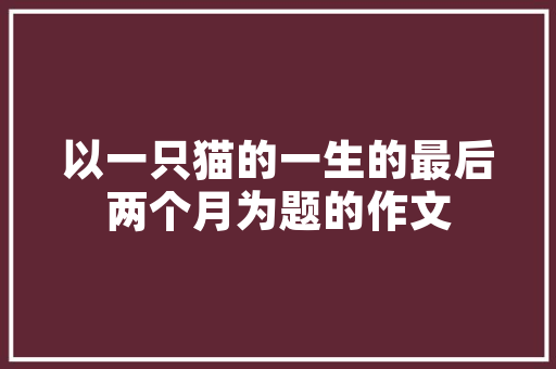 解码二元刮刮乐,介绍现代彩票的科技魅力