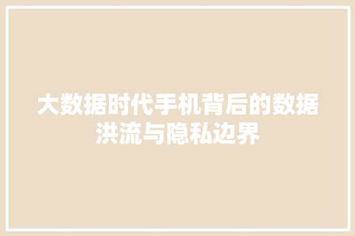 大数据时代手机背后的数据洪流与隐私边界