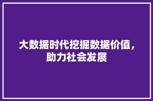 大数据时代挖掘数据价值，助力社会发展