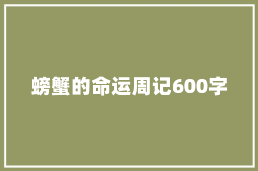 设计小元素,打造个性化网站的艺术之旅 项目报告
