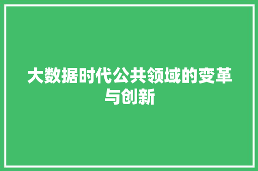 大数据时代公共领域的变革与创新