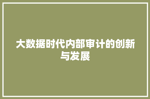大数据时代内部审计的创新与发展