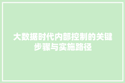 大数据时代内部控制的关键步骤与实施路径 MySQL