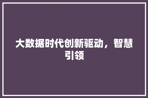 大数据时代创新驱动，智慧引领 后端技术