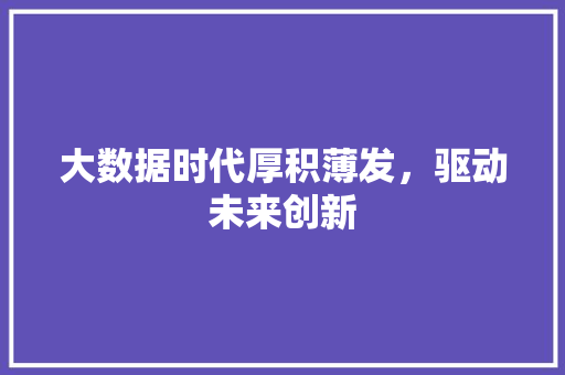 大数据时代厚积薄发，驱动未来创新